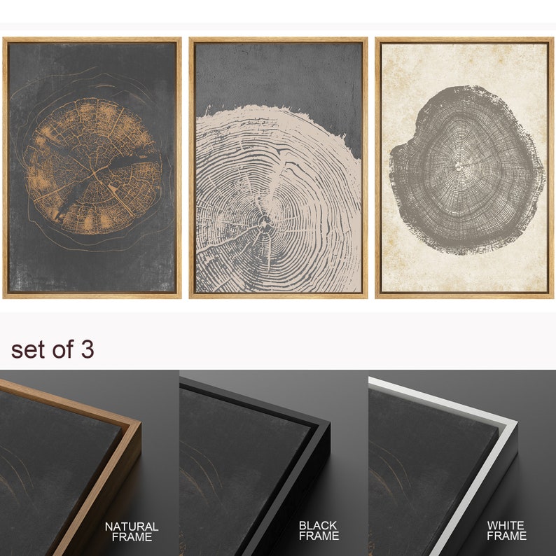 DustinWay Framed Canvas Print Wall Art Set of 3 Pastel Grunge Wood Tree Rings Abstract Illustrations Minimalist Modern Art Boho Decor image 4