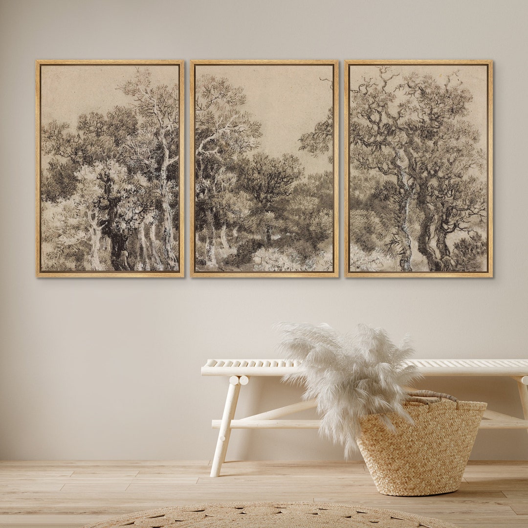 Framed Canvas Wall Art Set of 3 Vintage Sketch Forest Art Print ...
