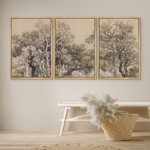 Framed Canvas Wall Art Set of 3 Vintage Sketch Forest Art Print Minimalist Modern Neutral Wall Art Farmhouse Decor