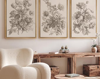 Framed Vintage Floral Wall Art Set of 3, Botanical Sketch Canvas Prints, Neutral Flower Line Art Decor for Living Room or Bedroom