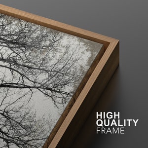 Dustinway Framed Canvas Print Wall Art Set of 2 Black and White Dried ...
