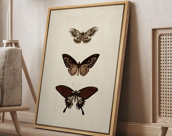 Framed Canvas Wall Art Vintage Three Butterfly Artwork Illustration Minimalist Modern Wall Art Living Room Decor