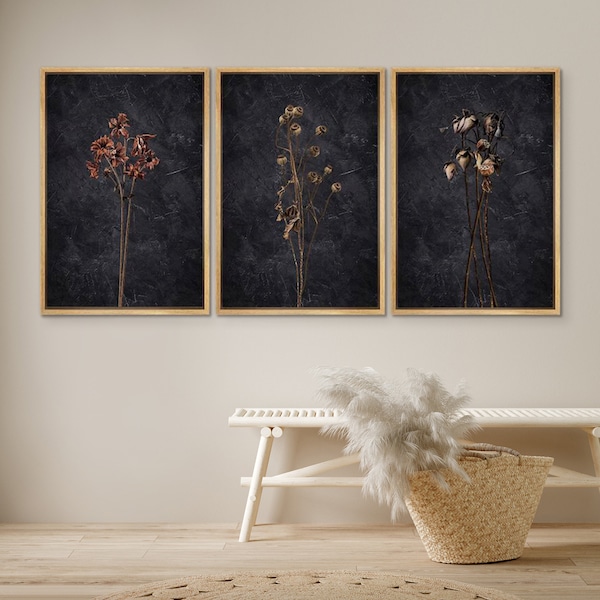Ensemble d'art mural impression sur toile encadrée DustinWay, fleurs sauvages séchées foncées, illustrations botaniques florales, art minimaliste, décoration murale de ferme moderne
