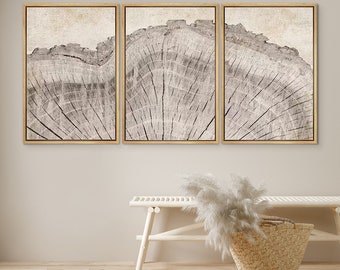 DustinWay Framed Canvas Print Wall Art Set Oak Wood Tree Rings Illustrations Modern Art Neutral Boho Decor