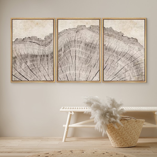 DustinWay Framed Canvas Print Wall Art Set of 3 Oak Wood Tree Rings Illustrations Modern Art Neutral Boho Decor