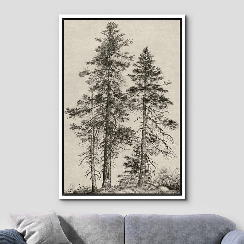 May include: Black and white illustration of several tall pine trees. The artwork is framed in a white border, set against a neutral background. The trees are detailed with visible branches and needles, creating a natural, forest theme.