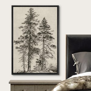 May include: Black framed canvas art print featuring a detailed black and white illustration of several tall pine trees. The artwork has a neutral background and is displayed in a bedroom setting, adding a touch of nature-inspired decor.