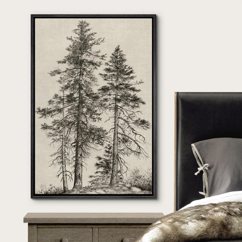 May include: Black framed canvas art print featuring a detailed black and white illustration of several tall pine trees. The artwork has a neutral background and is displayed in a bedroom setting, adding a touch of nature-inspired decor.