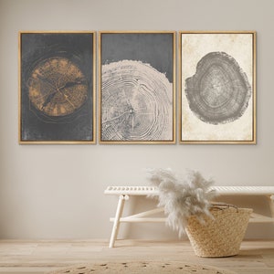 DustinWay encadré, impression sur toile, art mural, lot de 3 anneaux d'arbre en bois pastel grunge, illustrations abstraites, art moderne minimaliste, décoration bohème