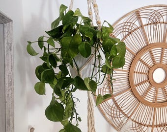 Colgador de plantas de macramé