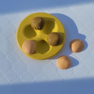 May include: A yellow mold with four seashell-shaped cavities, containing three brown and one light tan seashell-shaped objects. Three additional seashells are scattered nearby. The objects have textured surfaces and are set against a white background.