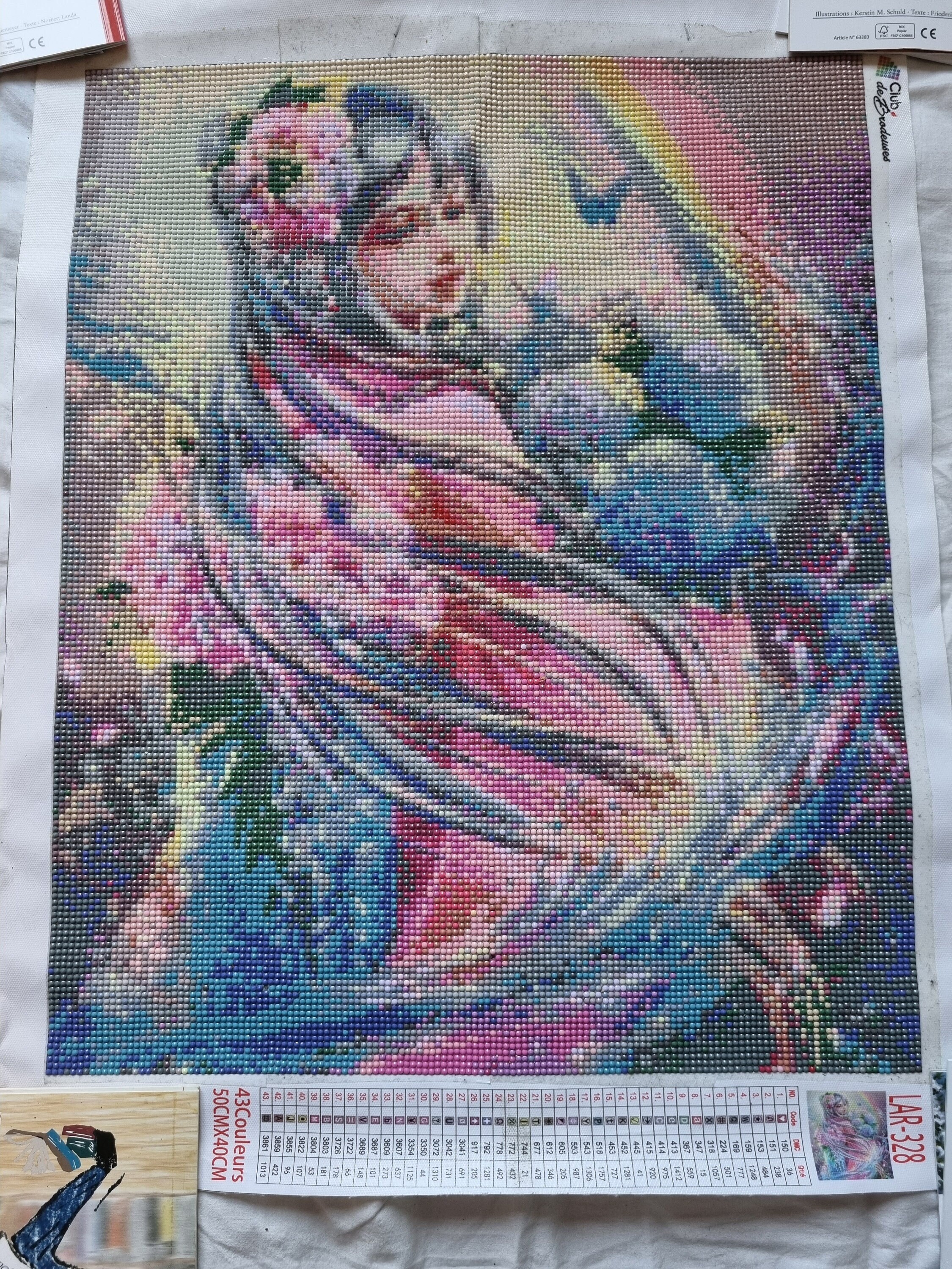 Diamond Painting Fini Jeune Fille