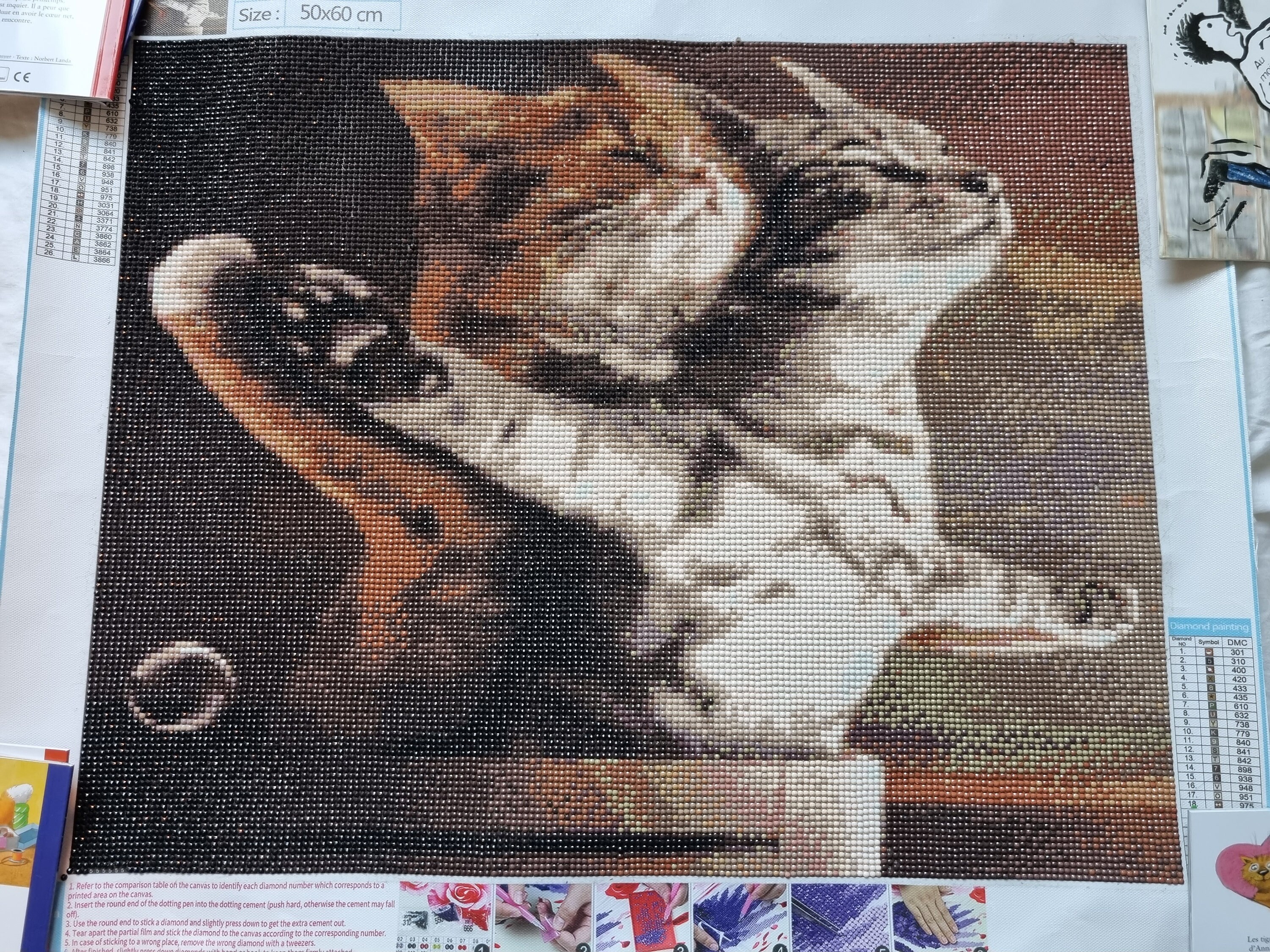 Diamond Painting Fini Chat