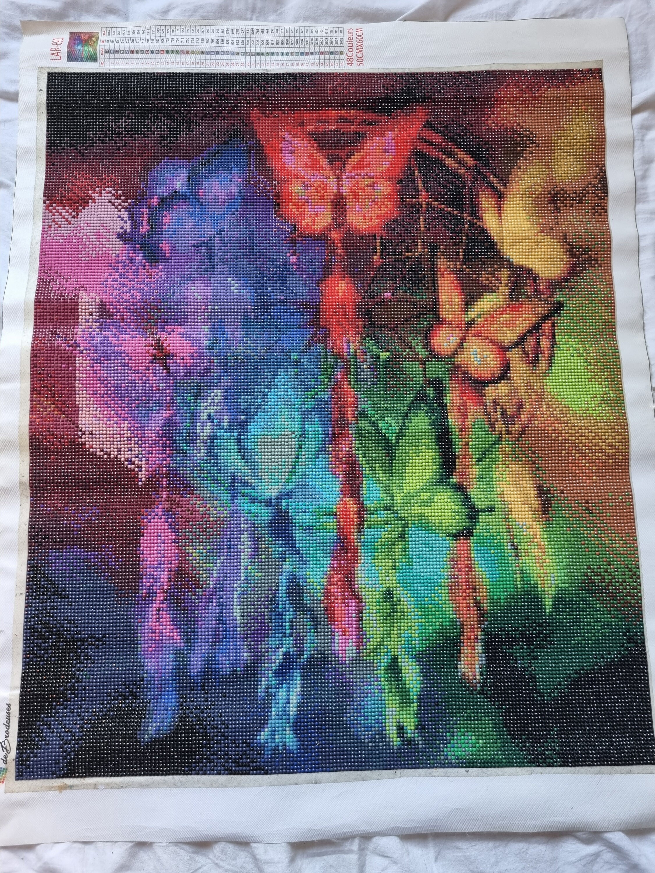 Diamond Painting Fini Attrape Reve Papillon