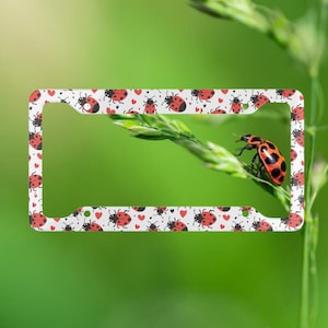 Marco para matrícula Lovebug - Cubierta para matrícula de mariquita - Marco para matrícula - Accesorio para coche - Mariquita - Amante de los insectos - Entomófilo - Mariquita roja