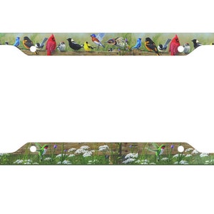 Sweet Tweets- License Plate Frame- Birds License Plate- Birder Car Accessory- Bird Watcher License Plate -Bird Lover Gift-Birder- Bird Frame