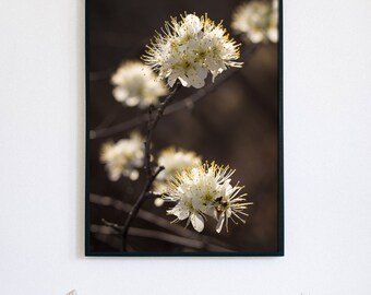 White Flowers-Wildlife-Floral-Flowers-Nature-Wall Art-Print-Art Print-Rhododendron