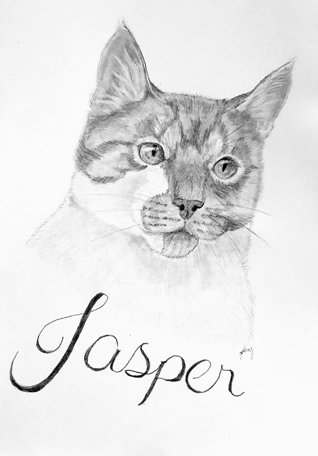 Custom Hand Drawn Pet Portraits Etsy