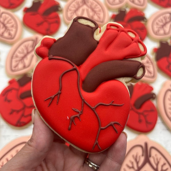 Custom Cookie Cutters Heart Organ Lungs Medical Doctor Nurse Surgeon Fast Made, Fast Ship