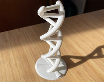 3D printed DNA model | X-ray Diffraction Inspired | Learning tool and gift for science enthusiasts