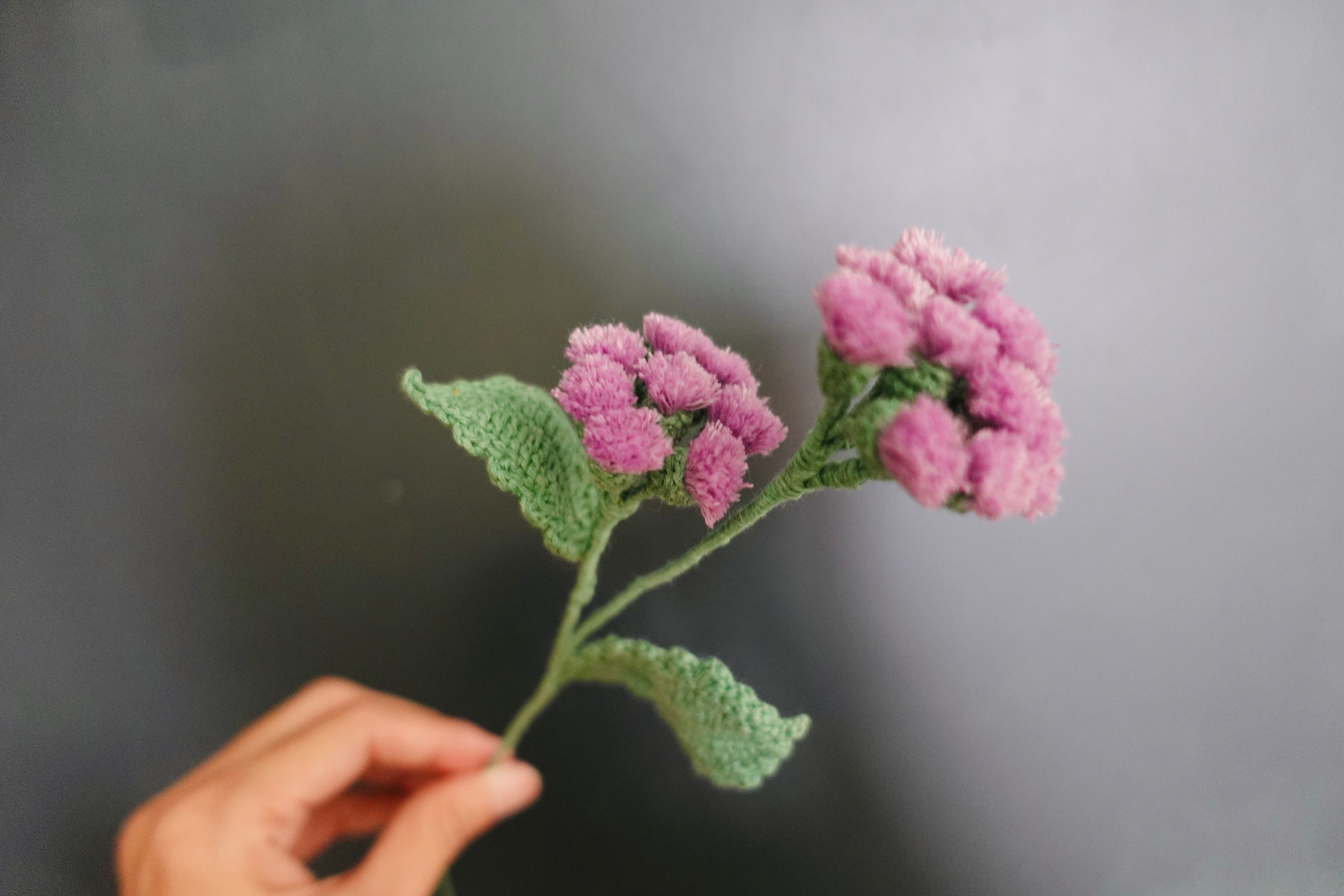 Hako268 - Etsy