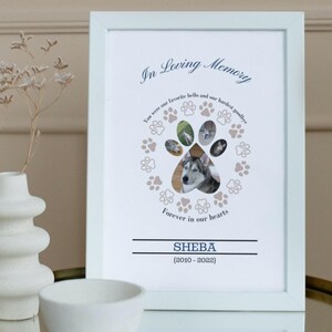 Pet Memorial Photo Canva Editable, Pet Bereavement, Pet Sympathy Gift