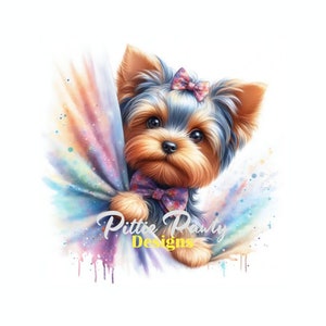 Peeking Behind Curtain Yorkie - Yorkshire Terrier Dog Design - Instant Download Digital PNG File Vivid Color Art Sublimation