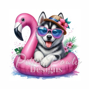 Téléchargement numérique PNG - Summer Husky Dog in Flamingo Float - Siberian Husky PNG imprimable Sublimation Design pour chemise et autocollants
