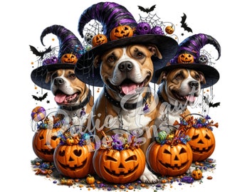 May include: Three brown and white dogs wearing witch hats and holding orange jack-o'-lantern buckets filled with candy. The dogs are surrounded by candy and pumpkins.