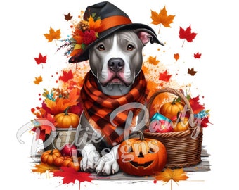 Puede incluir: Un perro pit bull gris y blanco que lleva un sombrero de bruja negro con flores de otoño y una bufanda de cuadros naranja y negra. El perro está rodeado de hojas de otoño coloridas, calabazas y una cesta tejida. El texto Pittie Designs es visible.