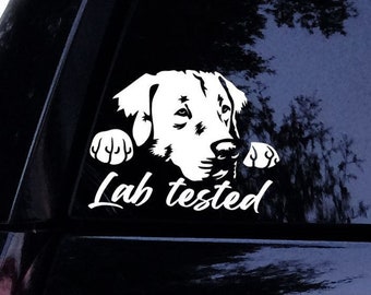 Calcomanía de laboratorio: calcomanía de perro labrador retriever que mira fijamente y que ha sido probada en laboratorio: calcomanía de vinilo para ventana de automóvil