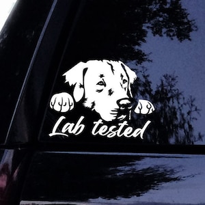 Lab Decal - Lab Tested Peeking Labrador Retriever Lab Dog Decal - Vinyl Car Window Decal Sticker