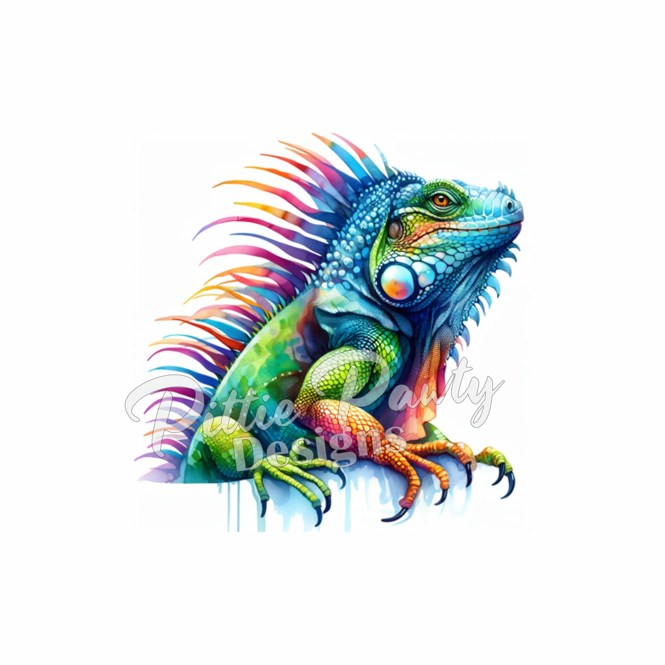 ONE PIECE / Iguana ワンピースアート/イグアナ ONE PIECE / Iguana