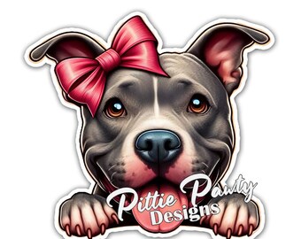 May include: A gray and white pit bull terrier with a pink bow peeking over a white surface with the text "Pittie Pawty Designs".