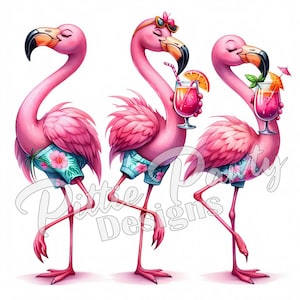 Flamingo PNG Digital Download - Flamingo Birds Ready for Beach II - Tropical Birds - PNG Sublimation Design for Shirt and Decal Stickers