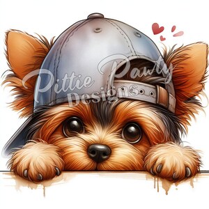 May include: A brown and black Yorkshire Terrier puppy wearing a blue baseball cap with a white brim. The puppy is looking at the camera with its tongue sticking out. The puppy is sitting on a white background.
