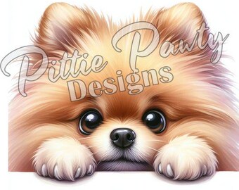 覗いているポメラニアン SVG、ポメラニアン犬 PNG、ポメラニアンの