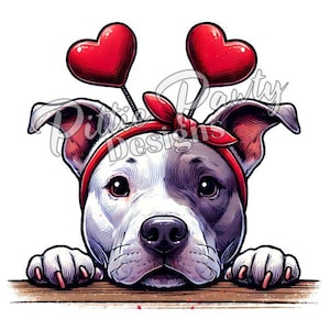 May include: A white and gray pit bull terrier with red heart-shaped headbands. The dog is looking at the camera and has its tongue sticking out.