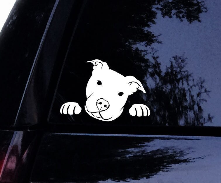 Peeking Pit Head Tilt Pitbull Dog Sticker - Vinyl Car Window Decal Sticker