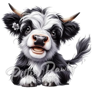 Puede incluir: Una vaca Highland negra y blanca con una flor blanca en el pelo, mirando directamente a la cámara con una expresión feliz. La vaca tiene una cola larga y esponjosa y está sentada sobre un fondo blanco.