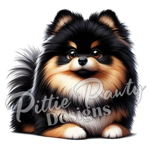 May include: A digital illustration of a Pomeranian dog with black, tan, and white fur. The dog is lying down, with its front paws visible. The text "Pittie Pawty Designs" is in the lower right corner.