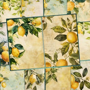 Páginas de diario de limón: papel digital de limón, kit de collage de limón, efímeras imprimibles de frutas, papel PNG para álbum de recortes de limón, acuarela de cítricos
