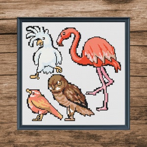 Buy 1 Get 1 Free Colorful birds cross Stitch pattern, Beautiful bird Cross Stitch, Instant download, Cross stitch digital file, Gift