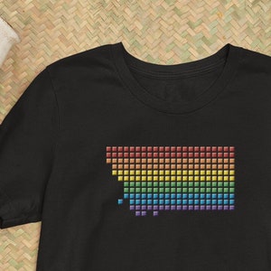 May include: Black t-shirt with a rainbow pixelated design. The design is a representation of the pride flag.