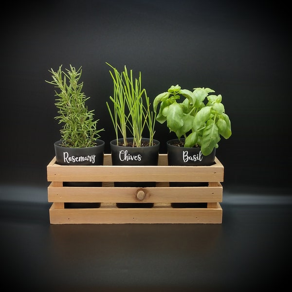 Countertop Herb Garden with Cedar Crate