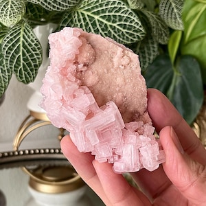 Rare Owens Lake Pink Halite Cluster California Pink Halite Specimen Pink Halite Gem Owen Lake Halite Specimen Decor Pink Halite Specimen