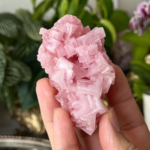 Rare Owens Lake Pink Halite Cluster California Pink Halite Specimen Pink Halite Gem Owen Lake Halite Specimen Decor Pink Halite Specimen