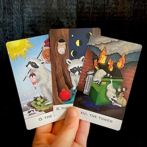 Op de afbeelding: Drie tarotkaarten met illustraties van wasberen. De eerste kaart is gelabeld "0. De Dwaas" en toont een wasbeer die een ijsje vasthoudt. De tweede kaart is gelabeld "II. De Hogepriesteres" en toont een wasbeer die voor een boom staat met een uil in een nest. De derde kaart is gelabeld "XVI. De Toren" en toont een wasbeer die voor een brandend gebouw staat.