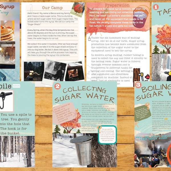 Maple Syrup Making Unit Study 25 Page Digital Printable Plus an MP4 version for iphone/android with live videos for enhanced learning
