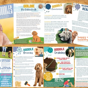 Goldendoodle Unit Study 29 Page Digital Printable, Plus MP4 for iphone/android with videos for enhanced learning